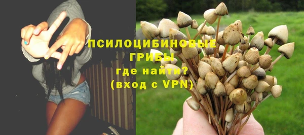 прущая мука Армянск