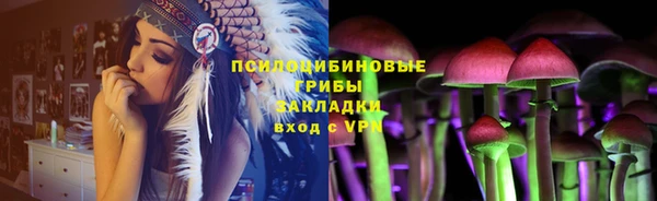прущая мука Армянск