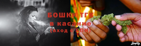 спиды Аркадак