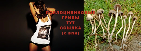мяу мяу кристалл Арсеньев